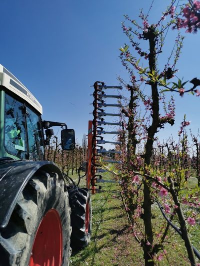 Rinieri FLORIX Flower Thinning Machine 2
