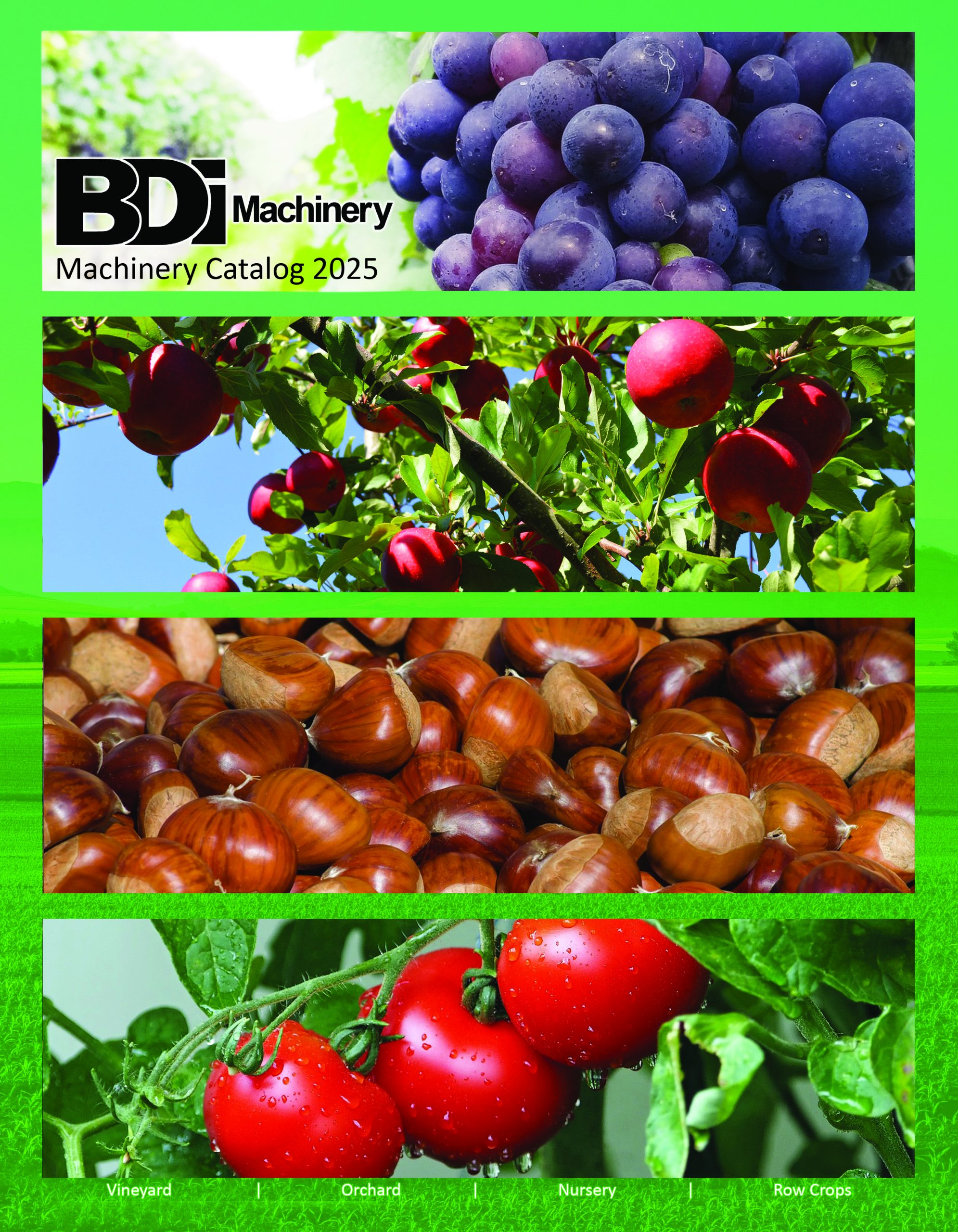 Catalogs 1