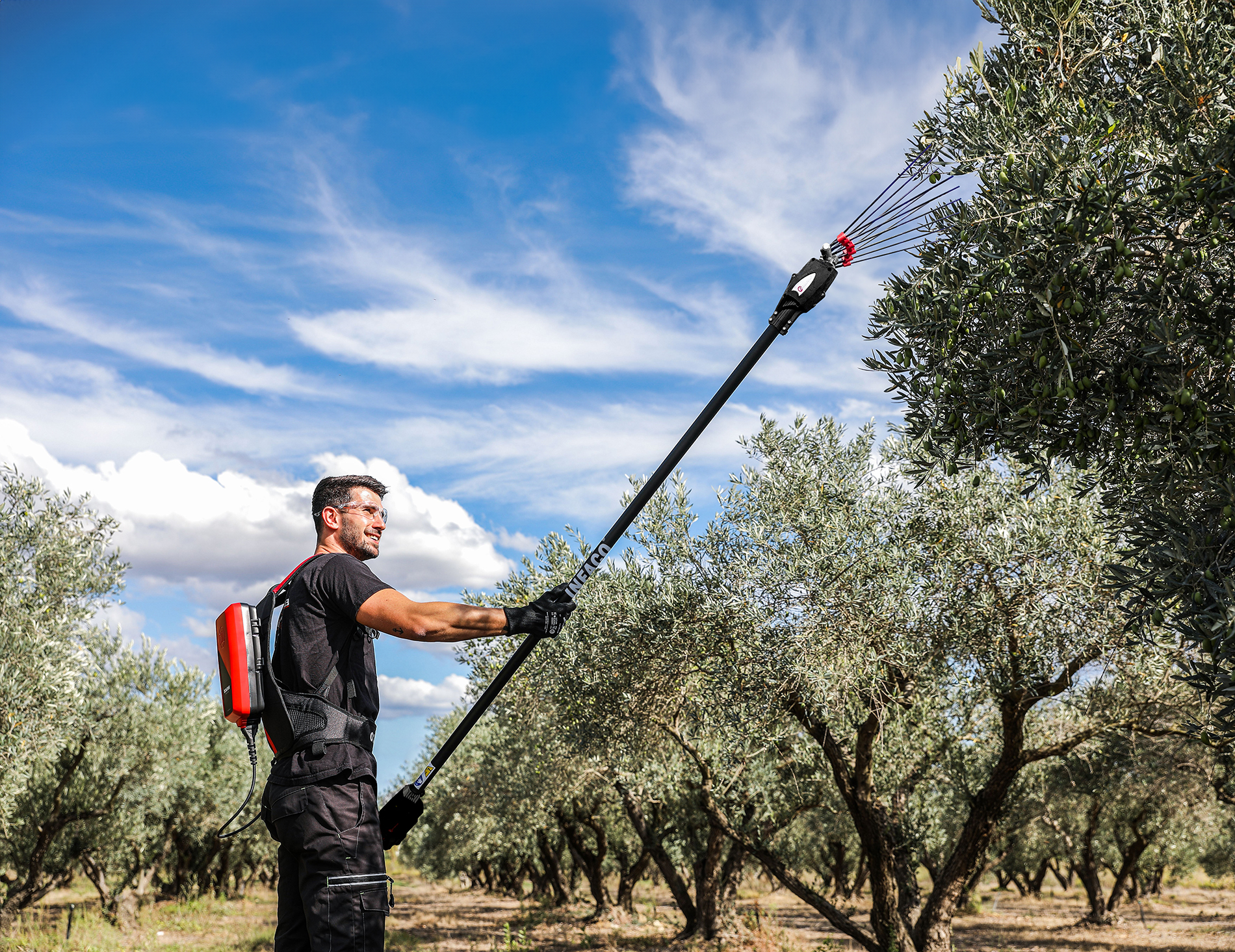 Infaco Electro’liv Olive Harvester